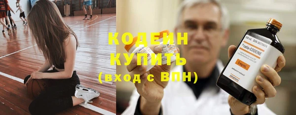 индика Волосово