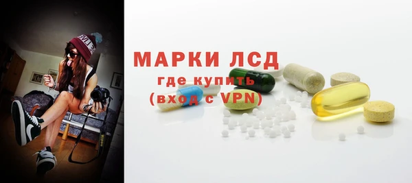 индика Волосово