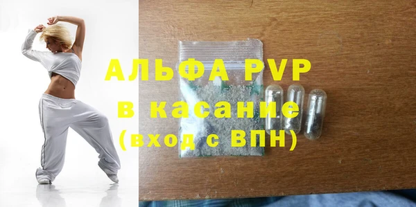 индика Волосово