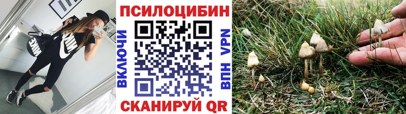 Псилоцибиновые грибы Cubensis  Кашира 
